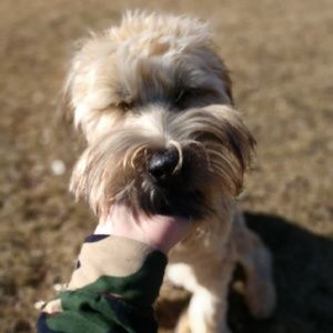 Meet your Posher, Katrina